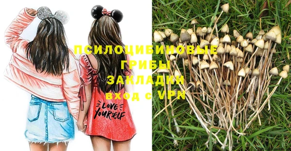 героин Кедровый