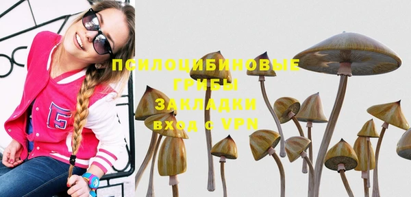 мяу мяу мука Нефтекумск