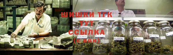 ALPHA PVP Кизел