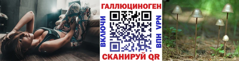 блэк спрут рабочий сайт  где найти наркотики  Магадан  Псилоцибиновые грибы Psilocybe 