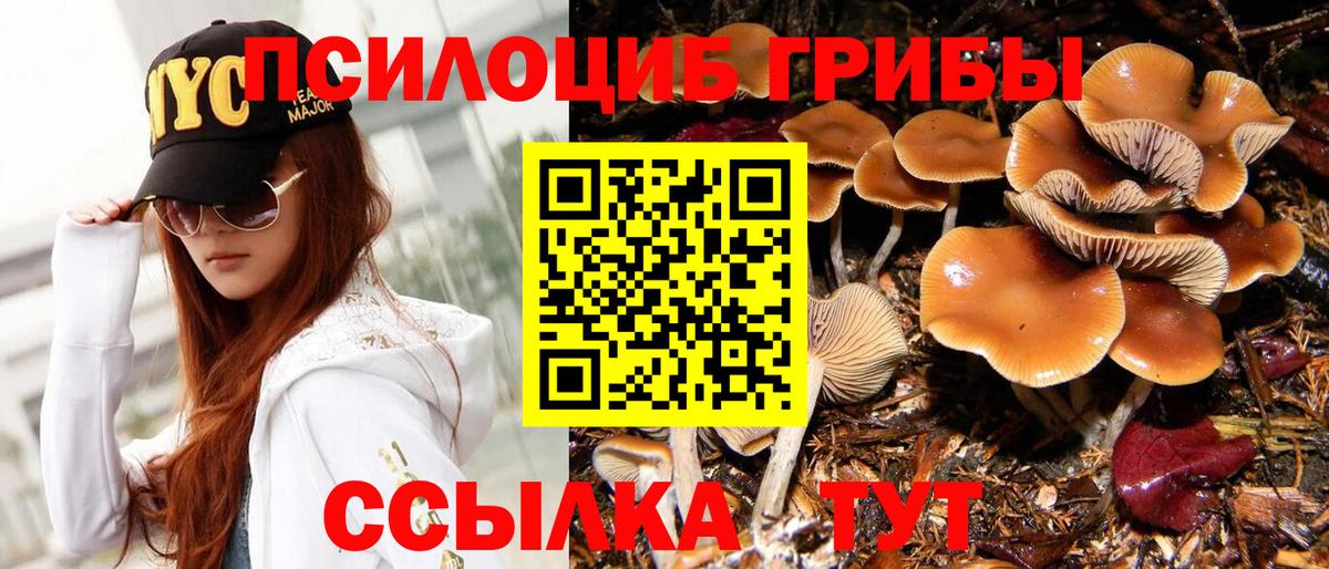 Псилоцибиновые грибы мицелий Магадан