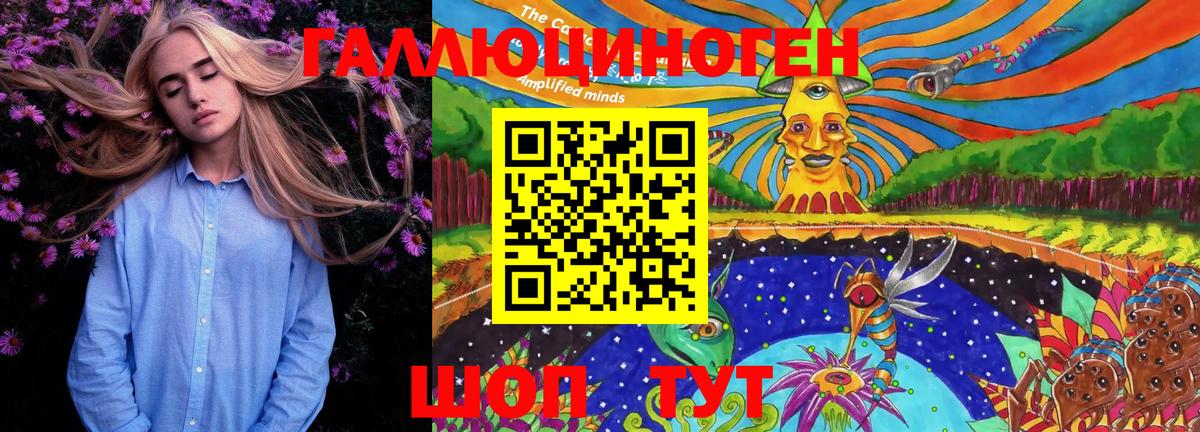 Магадан  Псилоцибиновые грибы Magic Shrooms  Вход с VPN 